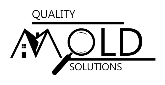 Quality Mold Solutions