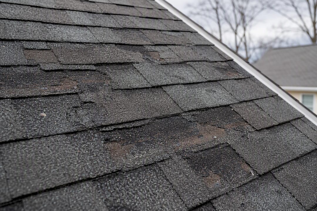 Close-up hail damage on roof shingles