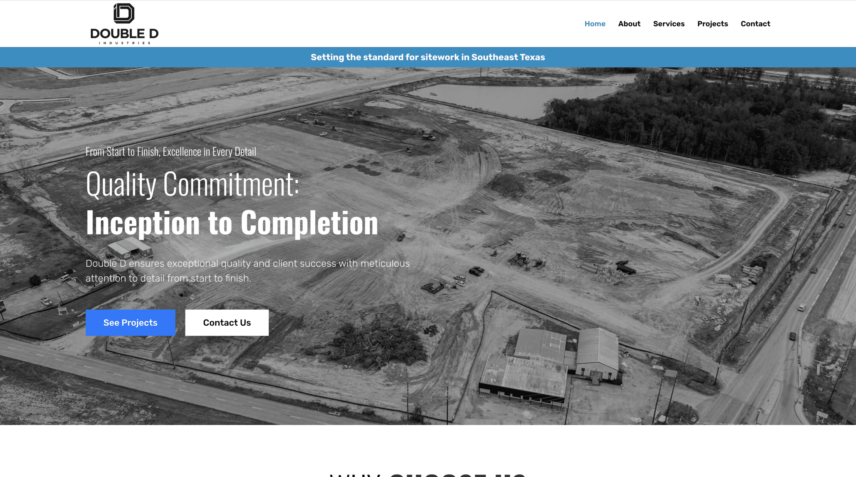 Project website screenshot
